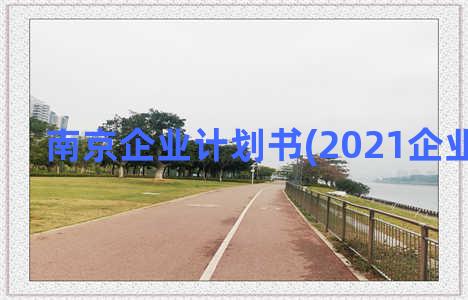 南京企业计划书(2021企业计划书)