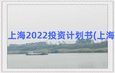 上海2022投资计划书(上海投资项目)