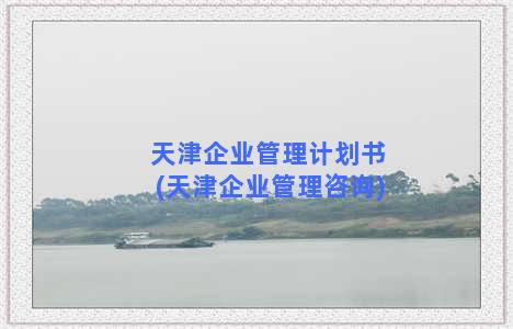 天津企业管理计划书(天津企业管理咨询)