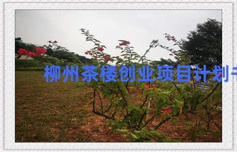 柳州茶楼创业项目计划书